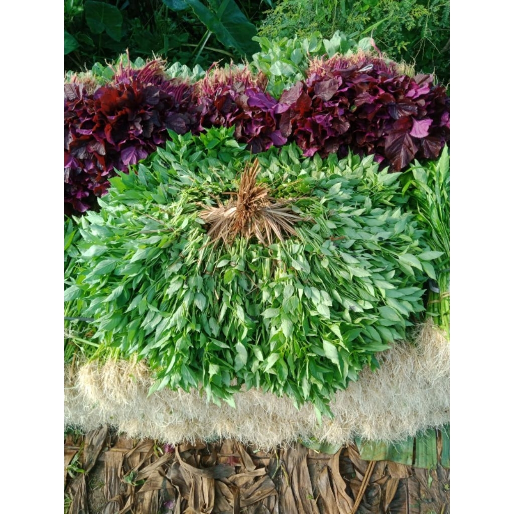 DAUN KEMANGI 1KG
