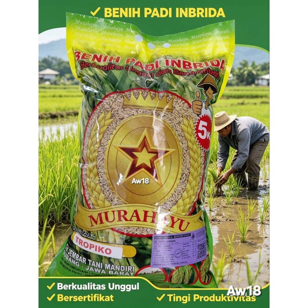 Benih Padi Premium Varietas TROPIKO