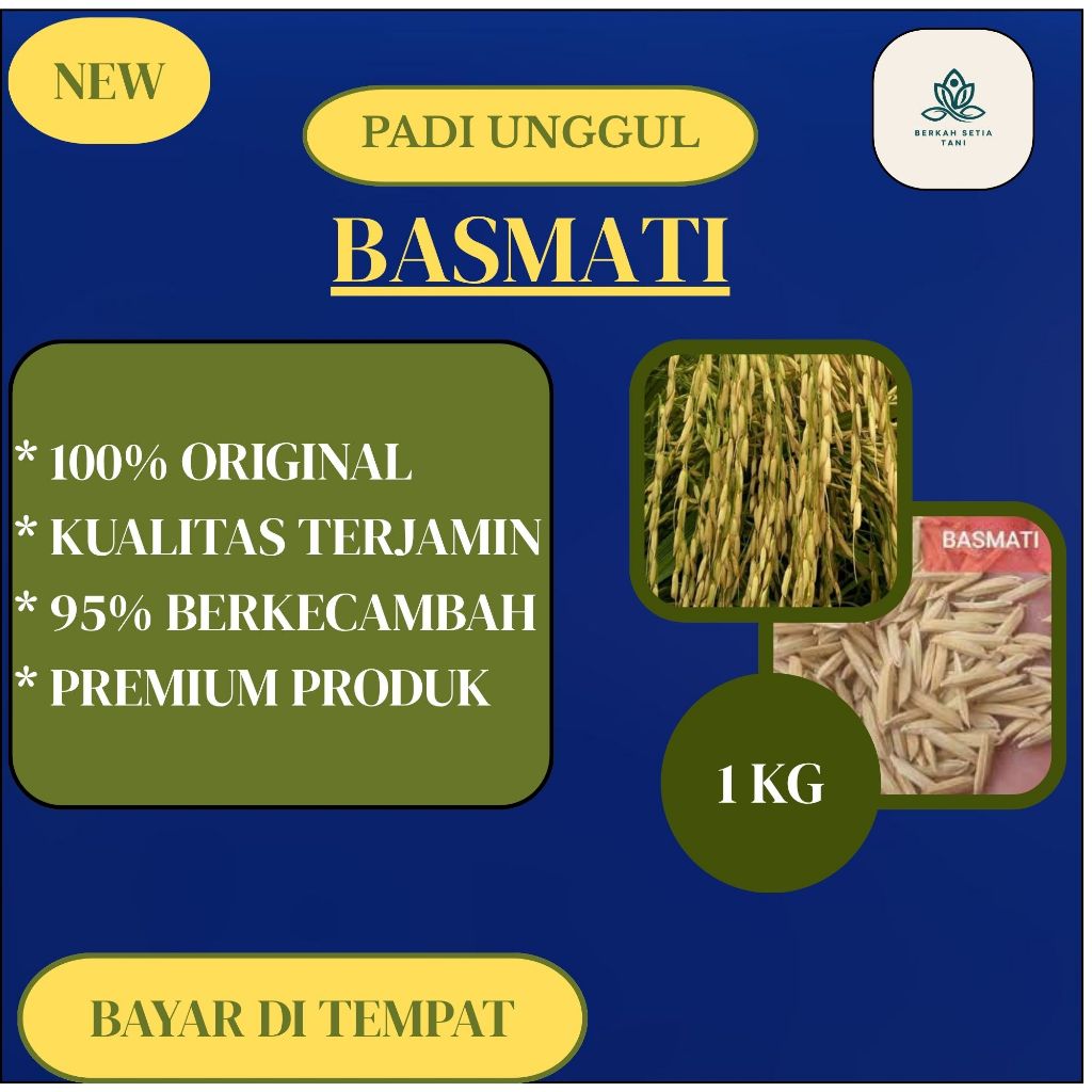 Benih Padi Basmati Aromatik 1KG (Basmati/Baroma 1121)