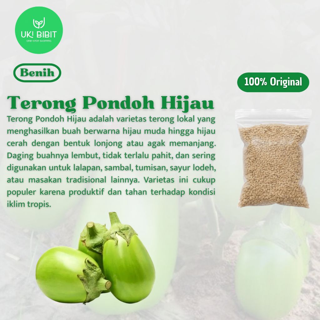 ( 10 Butir ) Benih Biji Terong Pondoh Hijau | Terong Hijau Jumbo Jepang