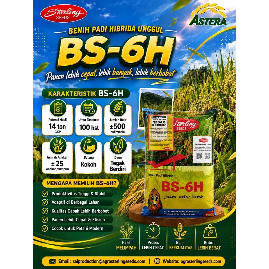 Benih padi hibrida BSHS6 /BS 6H 1kg ex 30 november 2026
