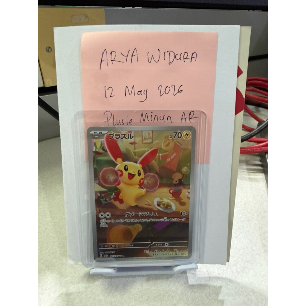 Plusle Minun AR Connecting Art Japan