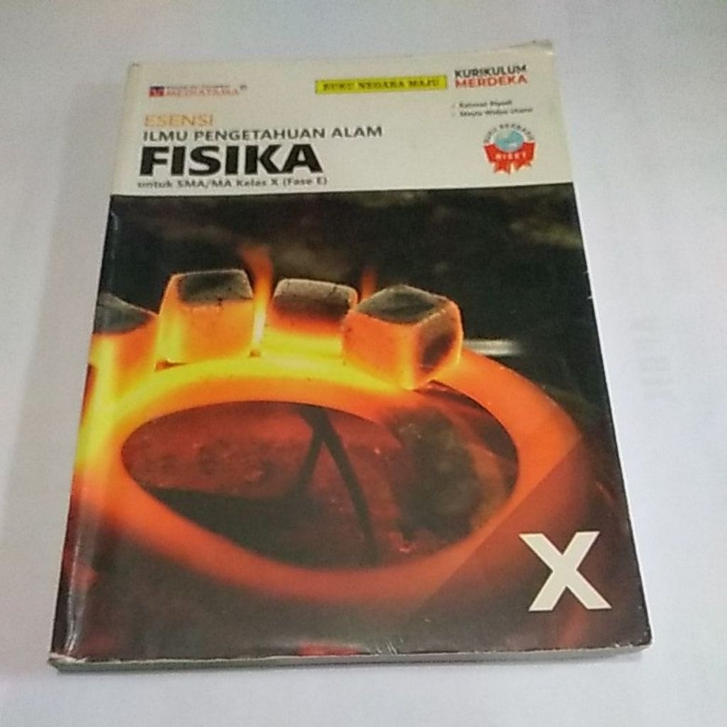 Esensi IPA Fisika kls 10 Mediatama (Bekas)