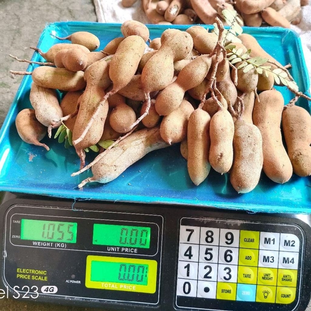 ASAM JAWA MUDA PETIK BARU