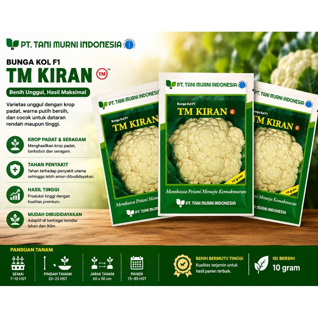 Benih Bunga kol TM KIRAN || Bungkul kiran F1 (10gr)