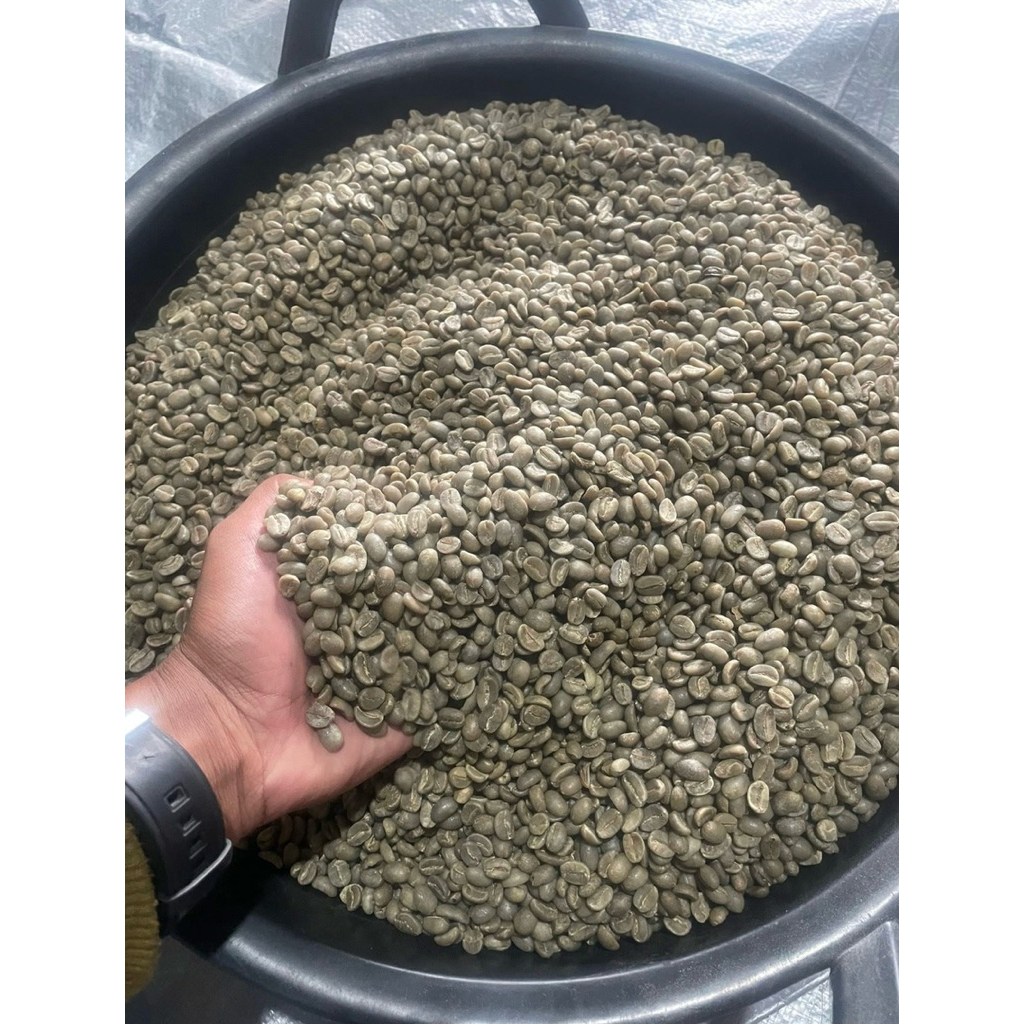 1Kg Biji Kopi Hijau Arabika Gayo Lues - 100% Murni, Full Wash, Kualitas Eksport
