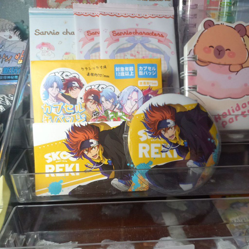 Unsealed Reki SK8Infinity Pin