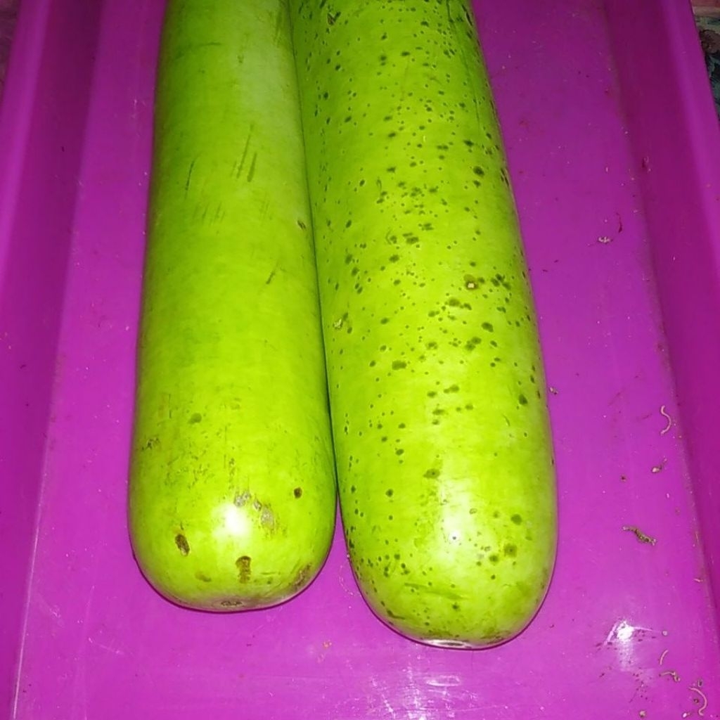 Sayur buah bloceng blonceng