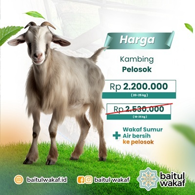 Qurban 1 Ekor Kambing Pelosok (20-25kg) + Wakaf Sumur Air Bersih