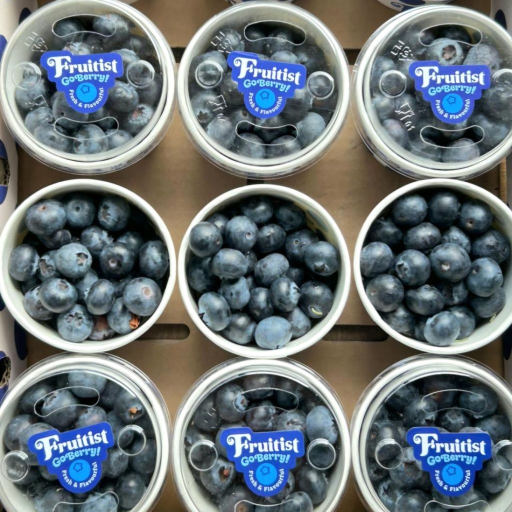 Blueberry china 125gr fresh