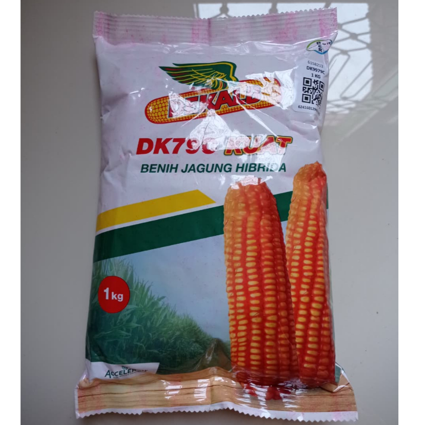 Benih Jagung Dekalb DK79C Isi 1 Kg