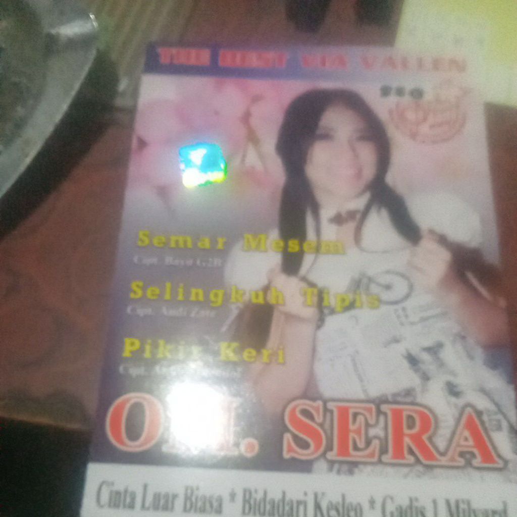 VCD OM. SERA Z-520
