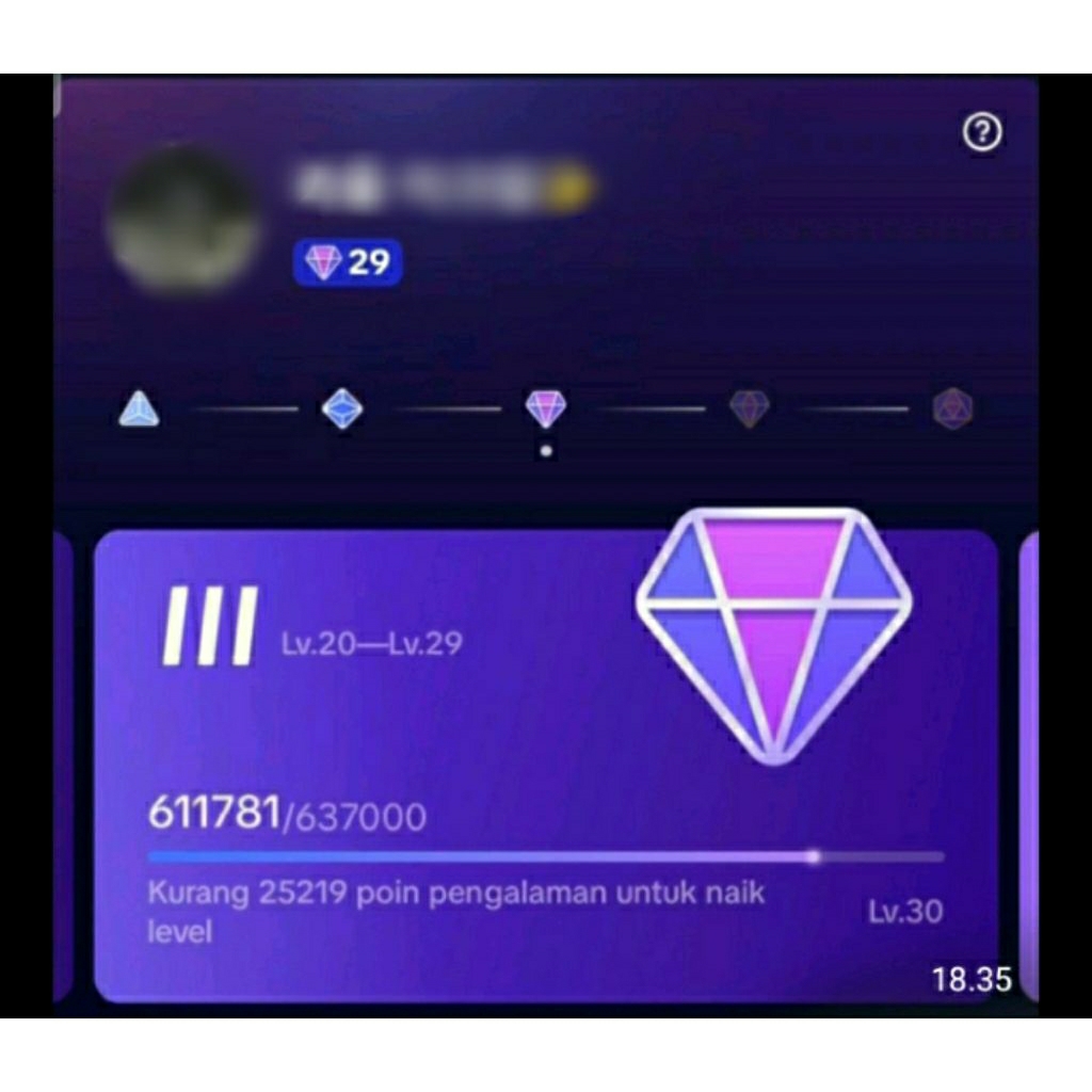 pay indo level 29 tiktok