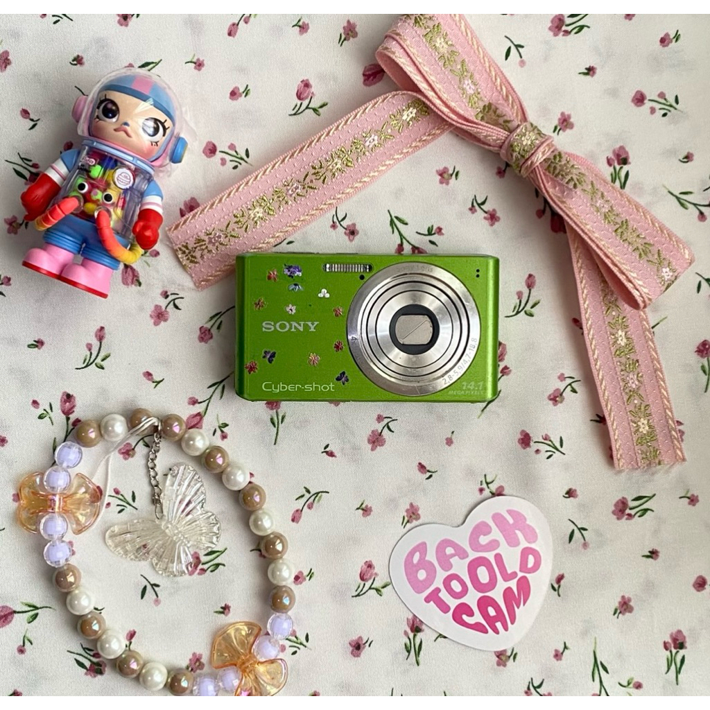 Digicam / Camera Digital Sony Cybershot Dsc w610 Green