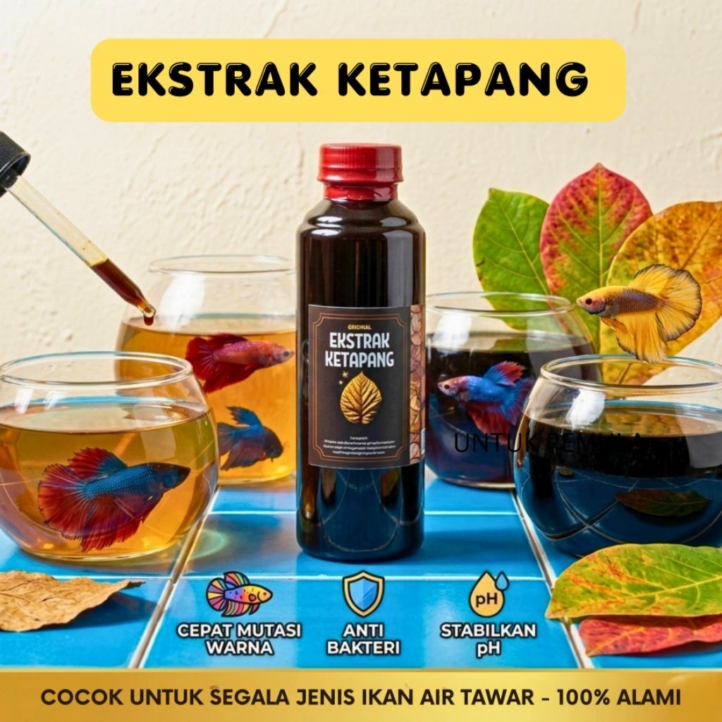 Ekstrak Daun Ketapang 250 ml Untuk Perawatan Ikan Channa Cupang Dll