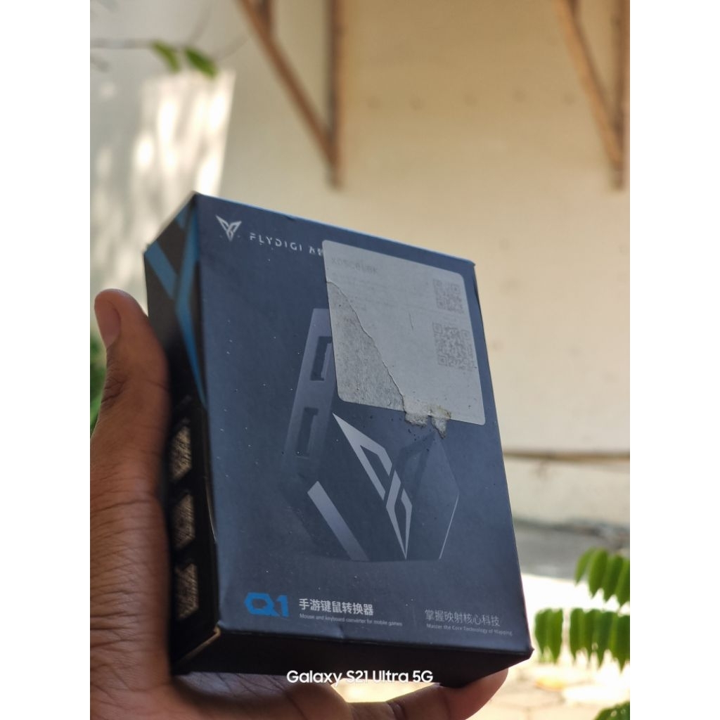 flydigi Q1