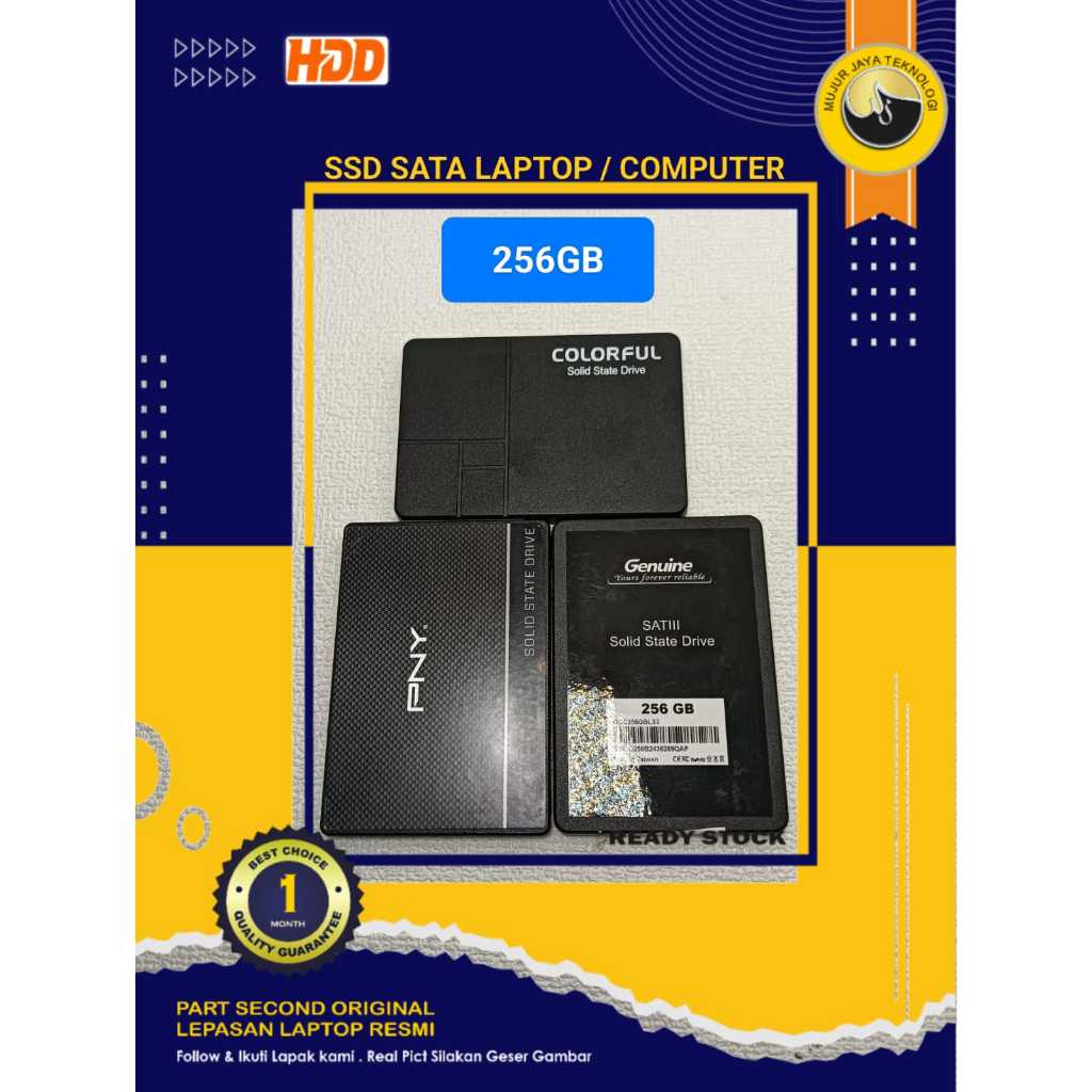 SSD PNY COLOR GENUINE 6GB/S 256 GB 240 GB SATA 3  2.5" 3D Nand Flash 560MB/s Laptop Komputer Second