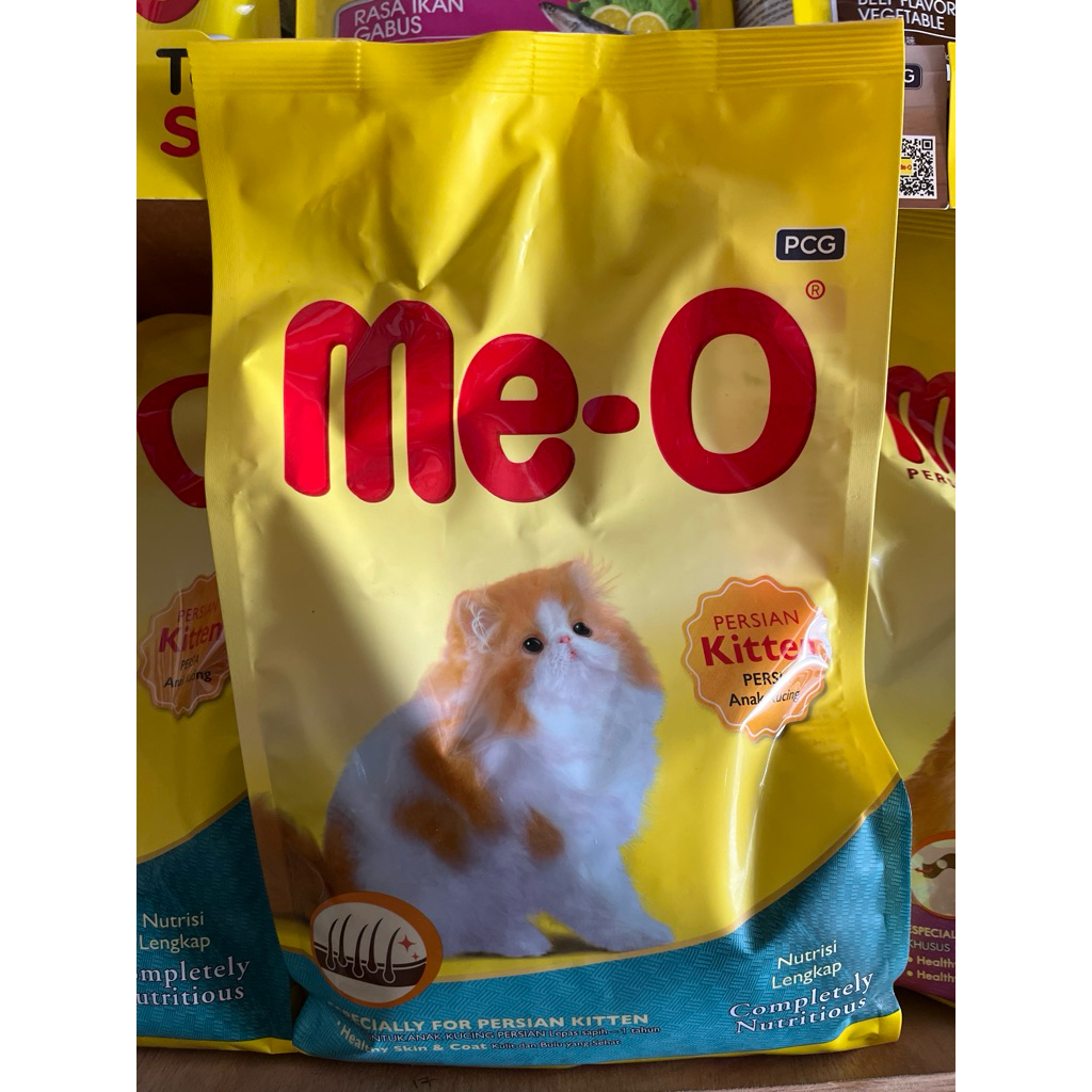 Meo Persia Kitten Especially for persia kitten