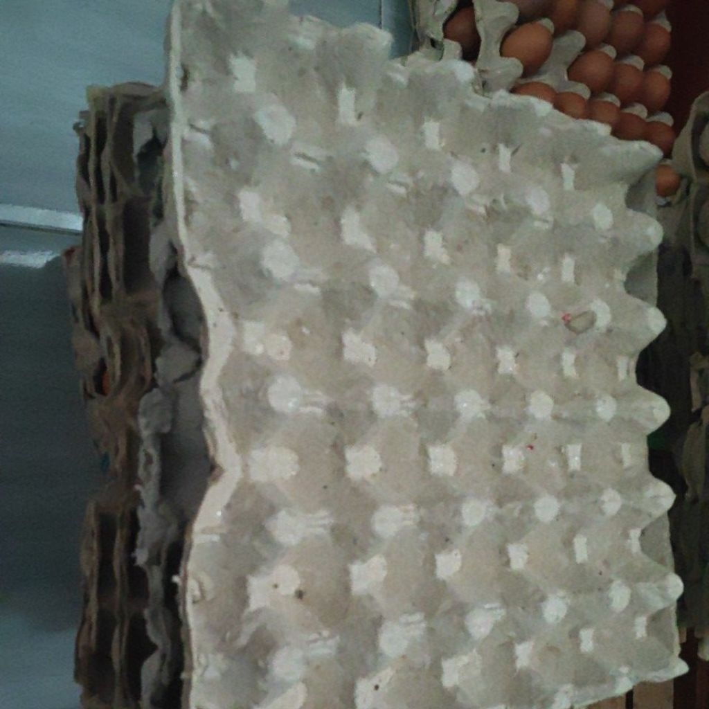 Egg Tray
