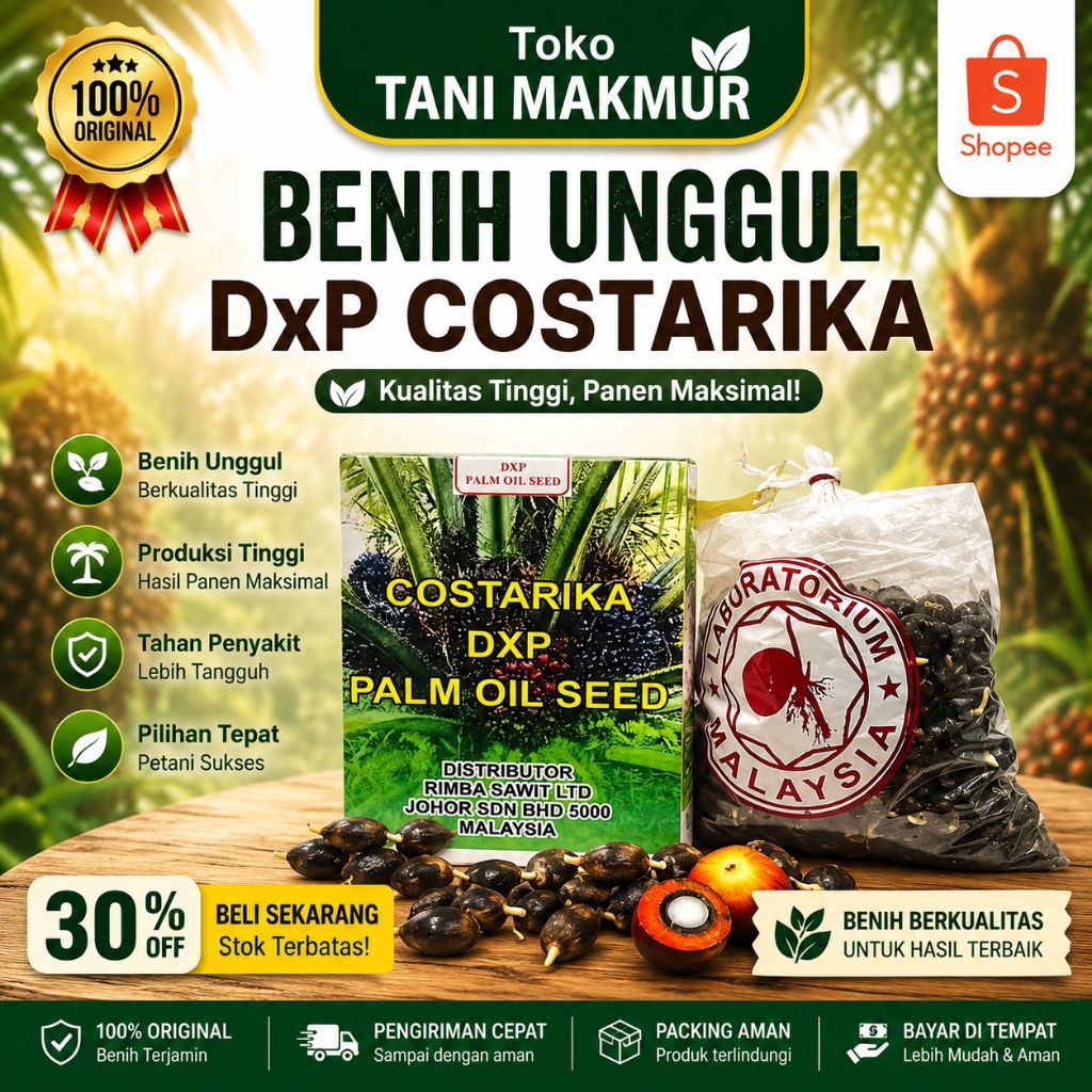 bibit sawit unggul costarika bersetifikat berkualitas