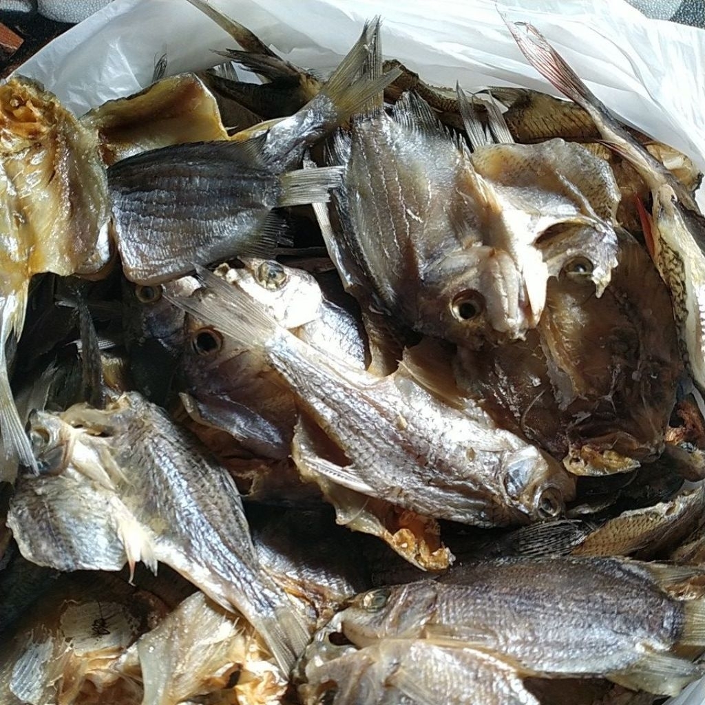 ikan asin puyau