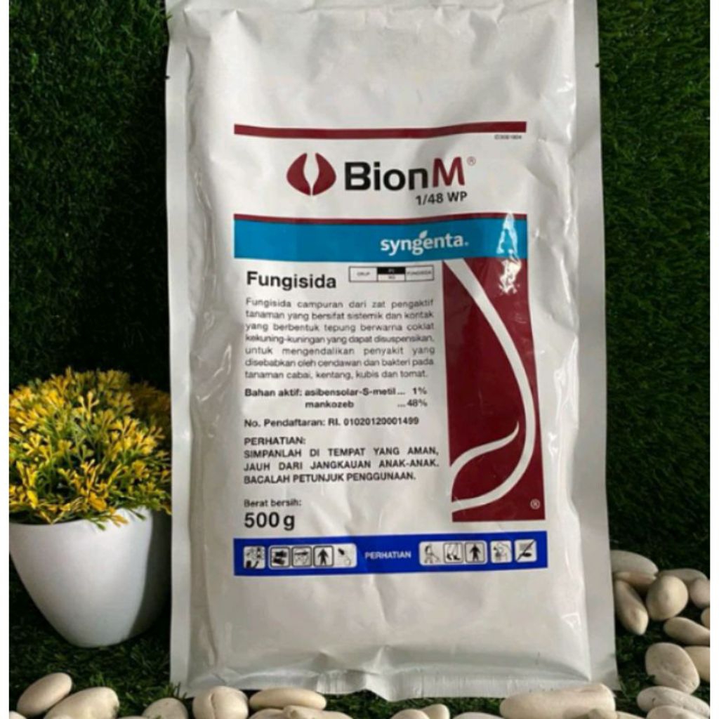 Bion M