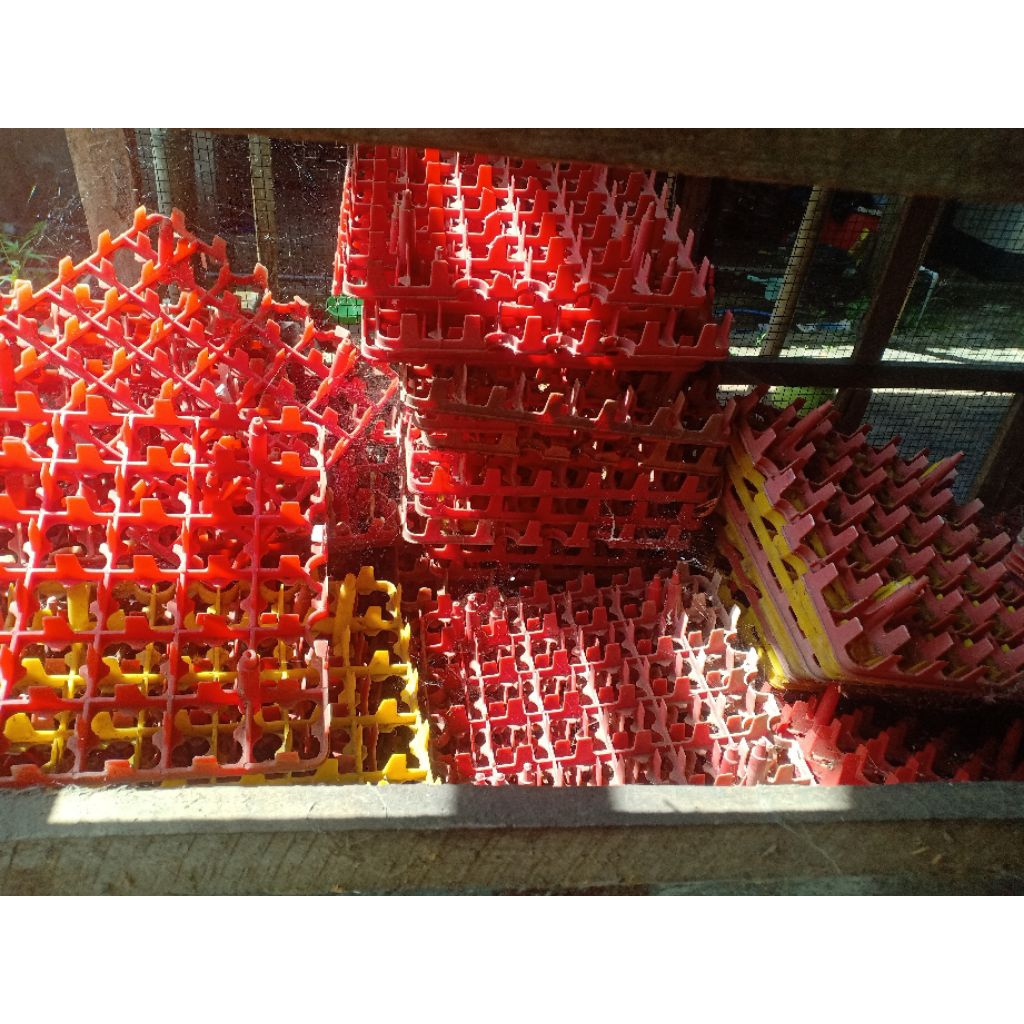 tray telur ayam , breader, penetasan