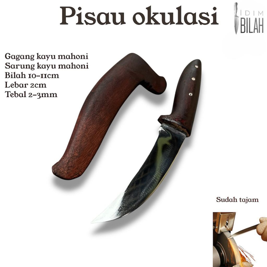 pisau akulasi pisau cangkok tanaman pisau setek kopi/durian