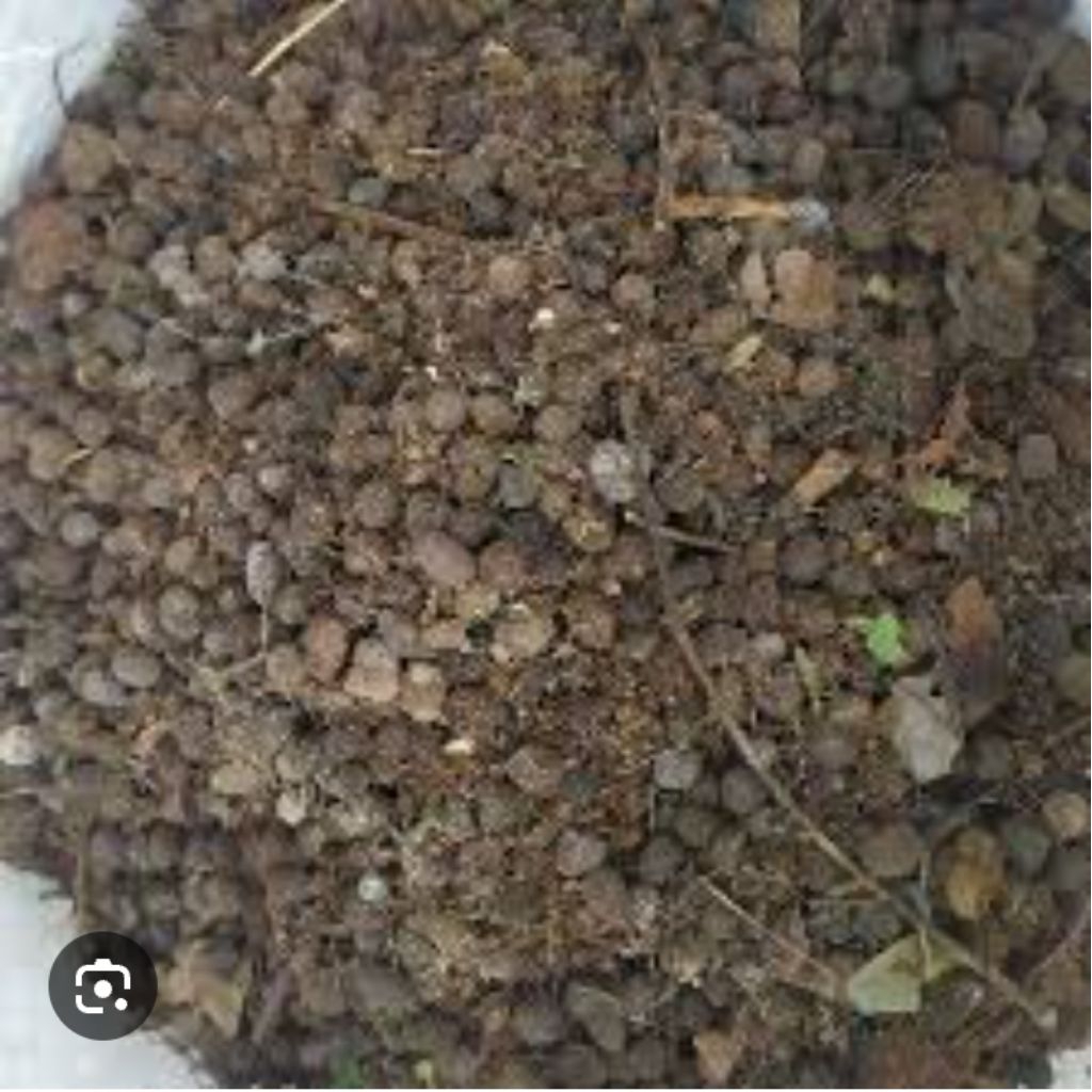 Kohe kotoran kambing fermentasi 1kg