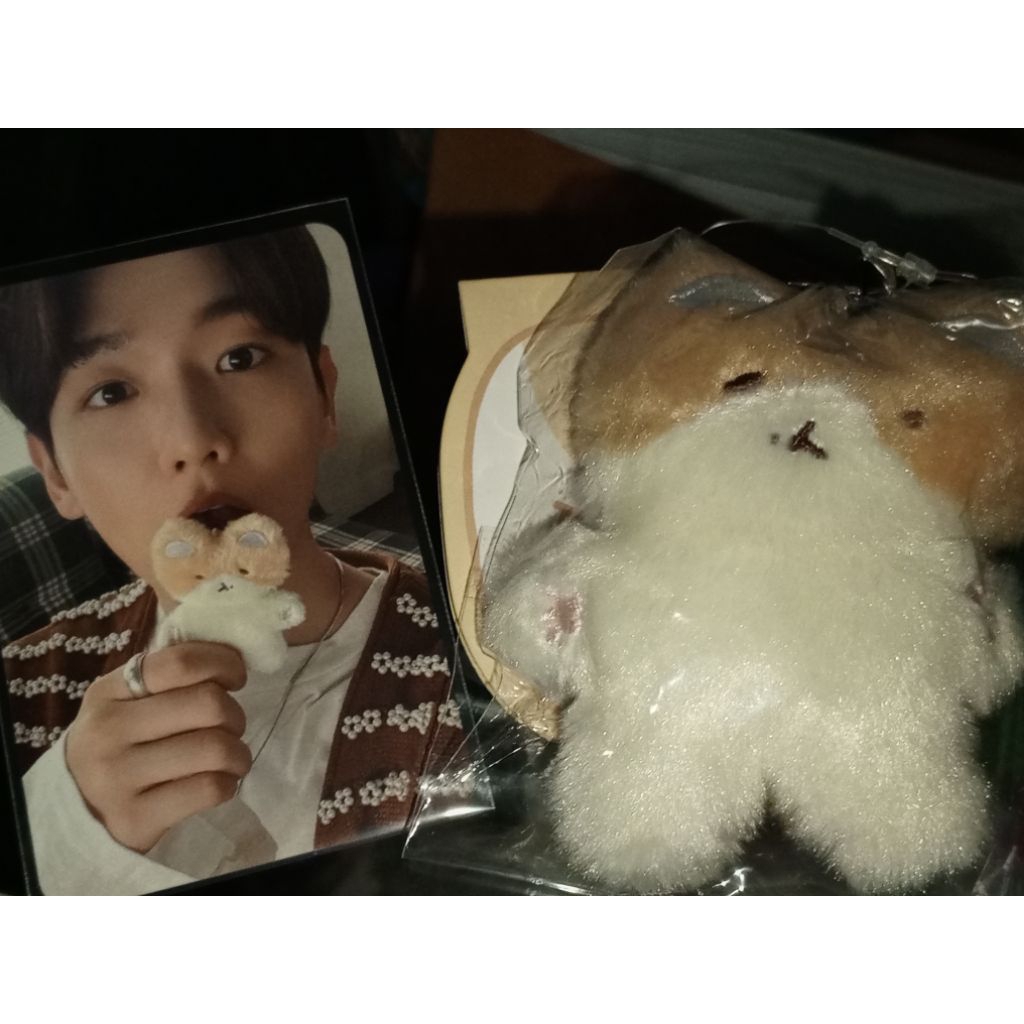 TEOLAEGI FLAT KEYRING BAEKHYUN