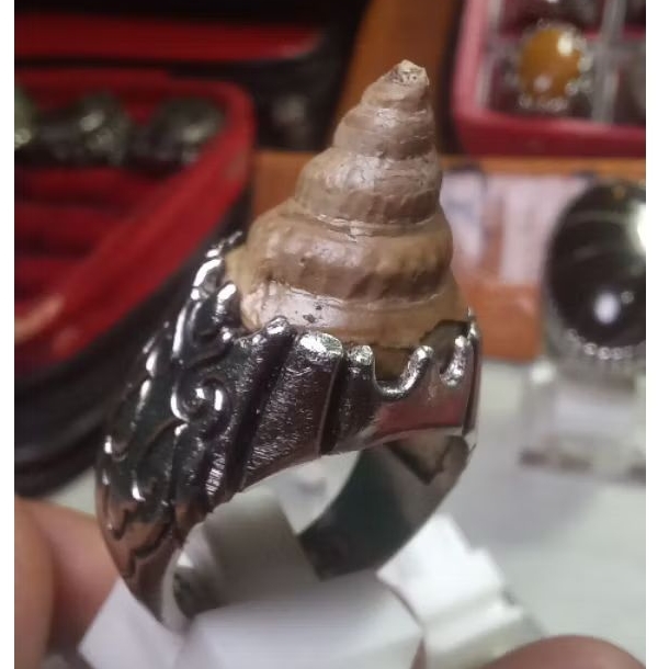 Akik Fosssil Keong Purba