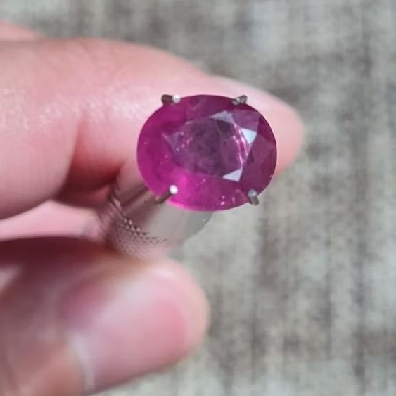 1117. Batu Permata Natural Ruby Pigeon Blood tanpa memo