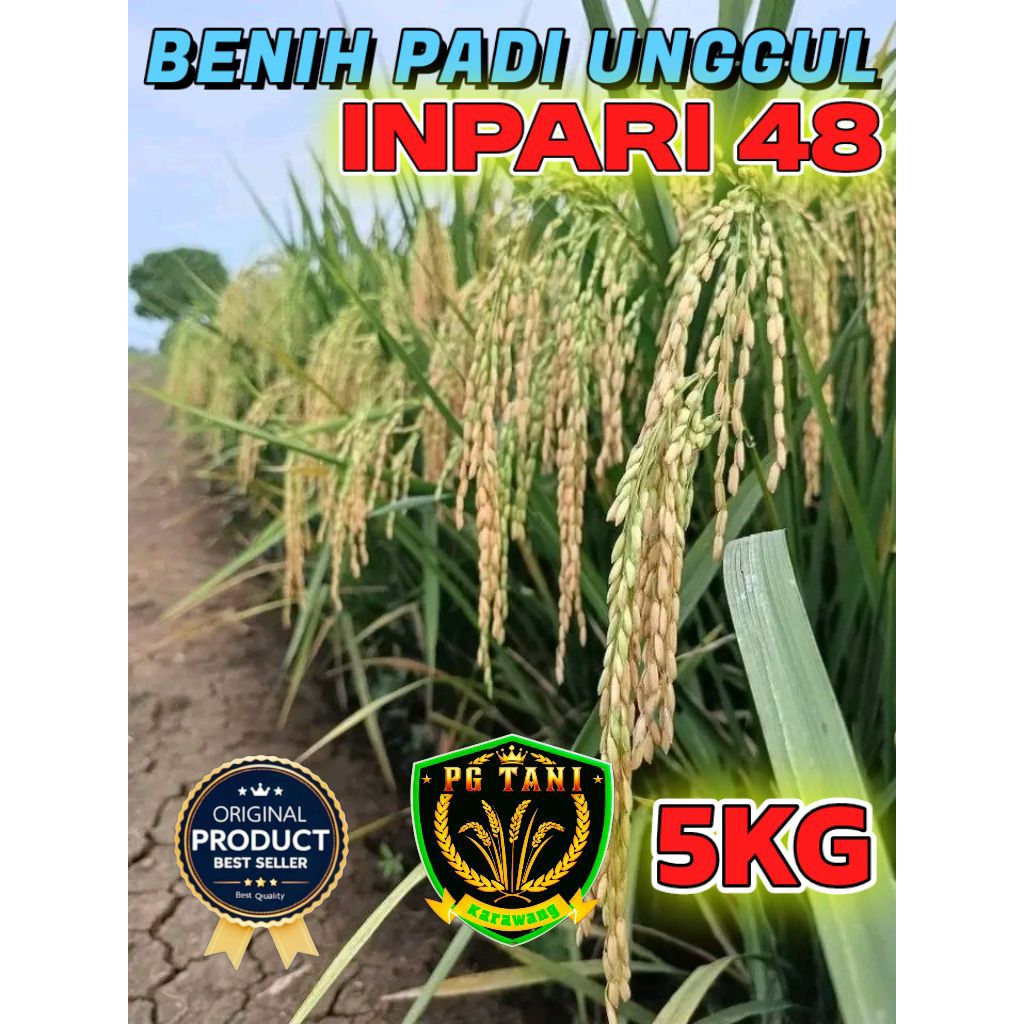 BENIH PADI UNGGUL INPARI 48 BLAS BERKUALITAS KEMASAN 5KG