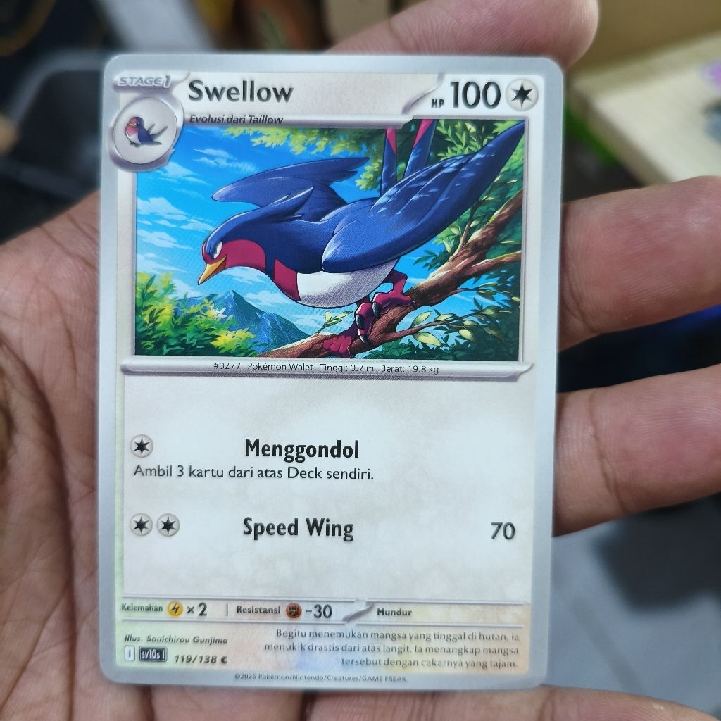 swellow tcg pokemon / kartu pokemon