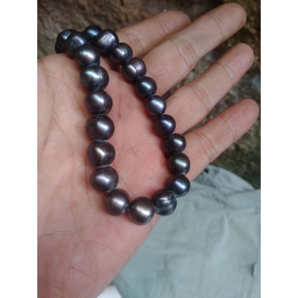 Kalung mutiara hitam asli