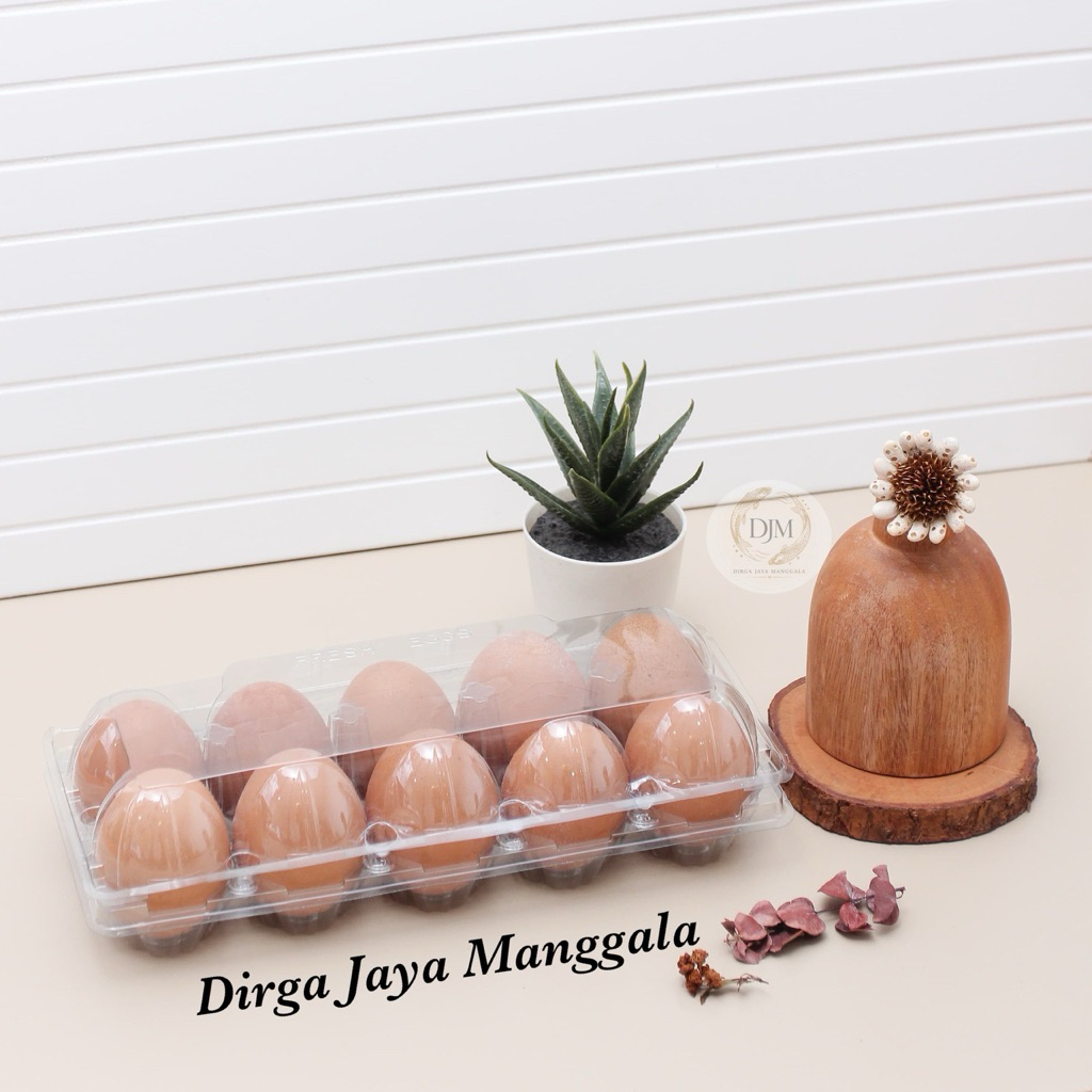 Mika telur / Tray mika / Egg tray isi 10 sudah ada pengunci