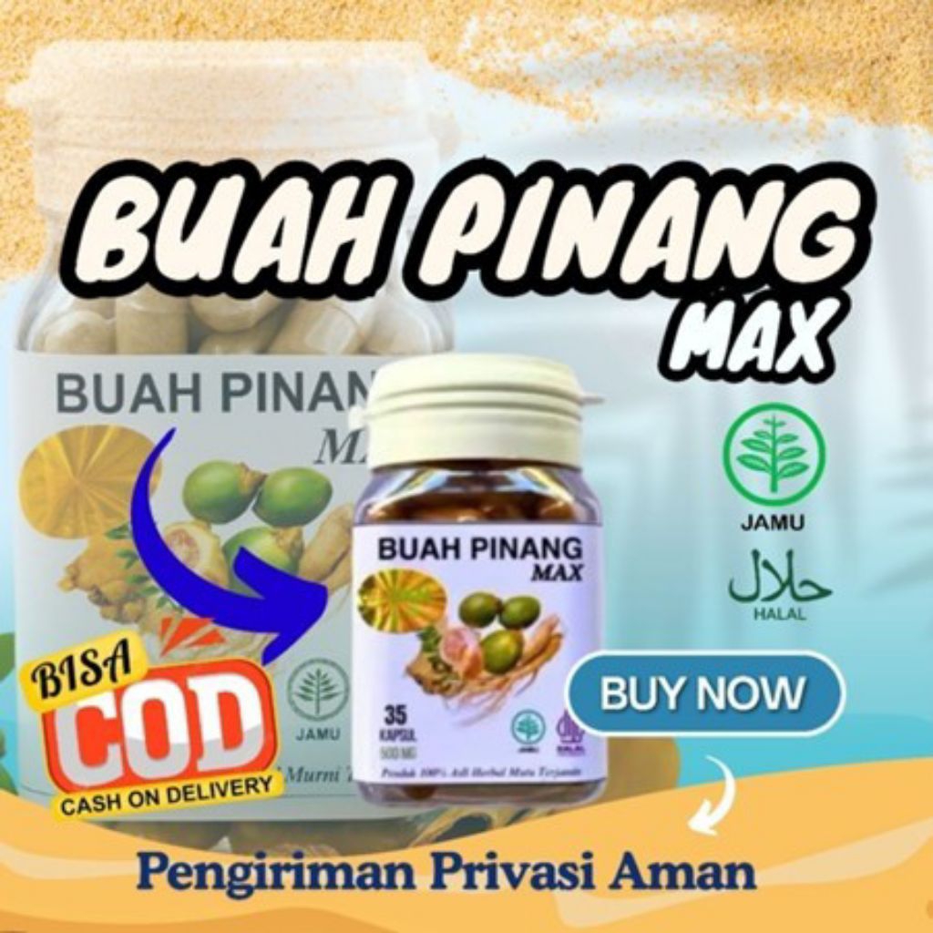 buah pinang muda original kapsul max khasiatnya ampuh