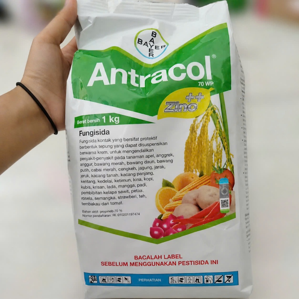 Fungisida Antracol 70 WP digunakan untuk tanaman padi, paprika, tomat, anggur, dan kentang.