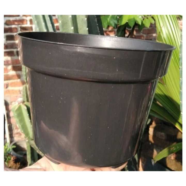 Pot tanaman hias koi 20 /Global Lion 20 polos warna hitam