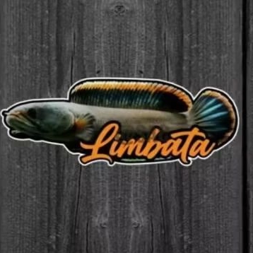 stiker canna limbata 4cm-+
