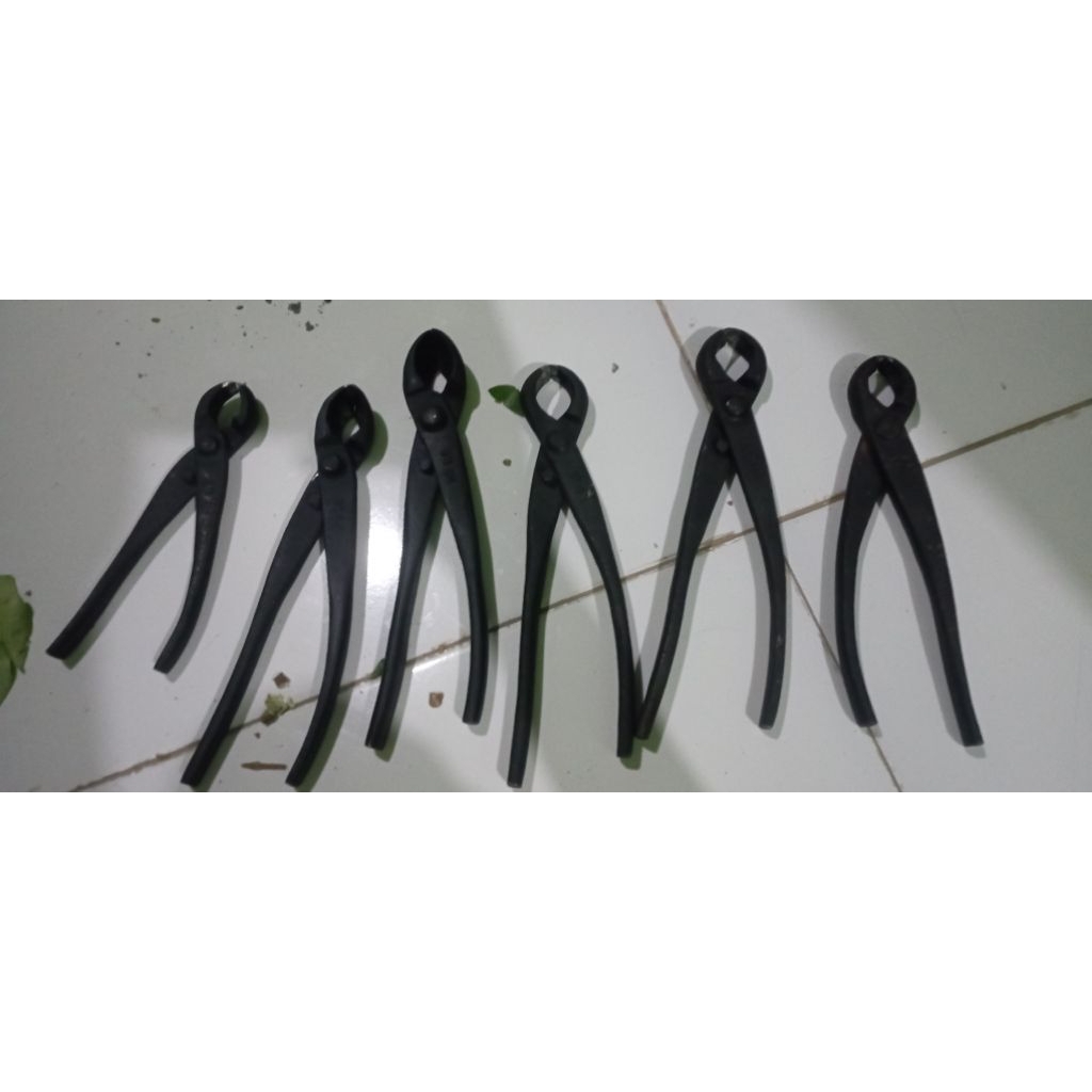 catok bonsai lokal