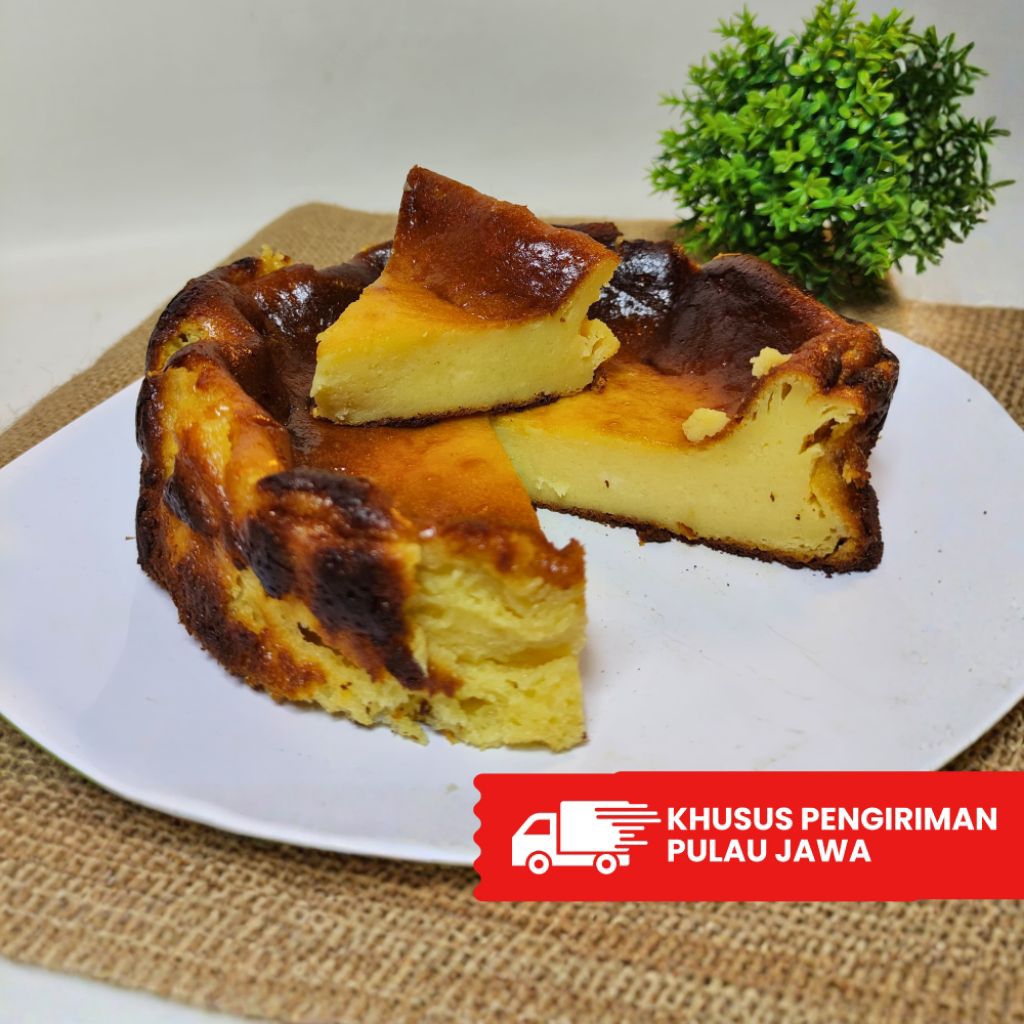 Basque Burnt Cheesecake Diameter 10 cm Burnt Cheese Cake Cream Cheese