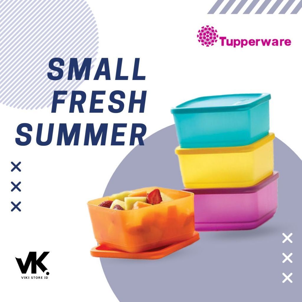 tupperware small summer toples kotak