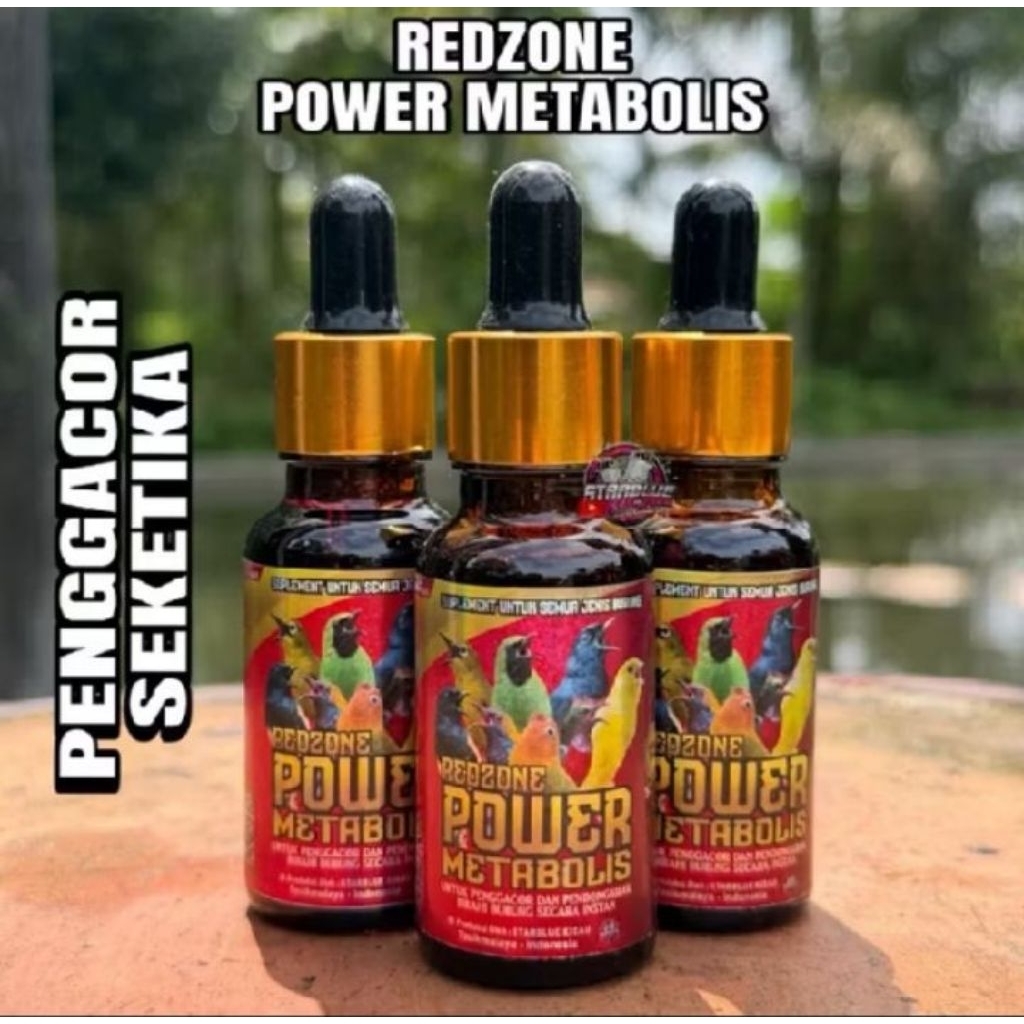 POWER METABOLISME REDZHONE VITAMIN METABOLISME BURUNG COLIBRI PLECI