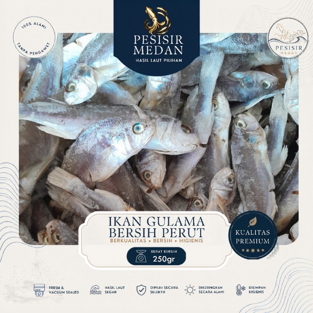 Ikan Asin Gulama Bersih Perut Asli Medan