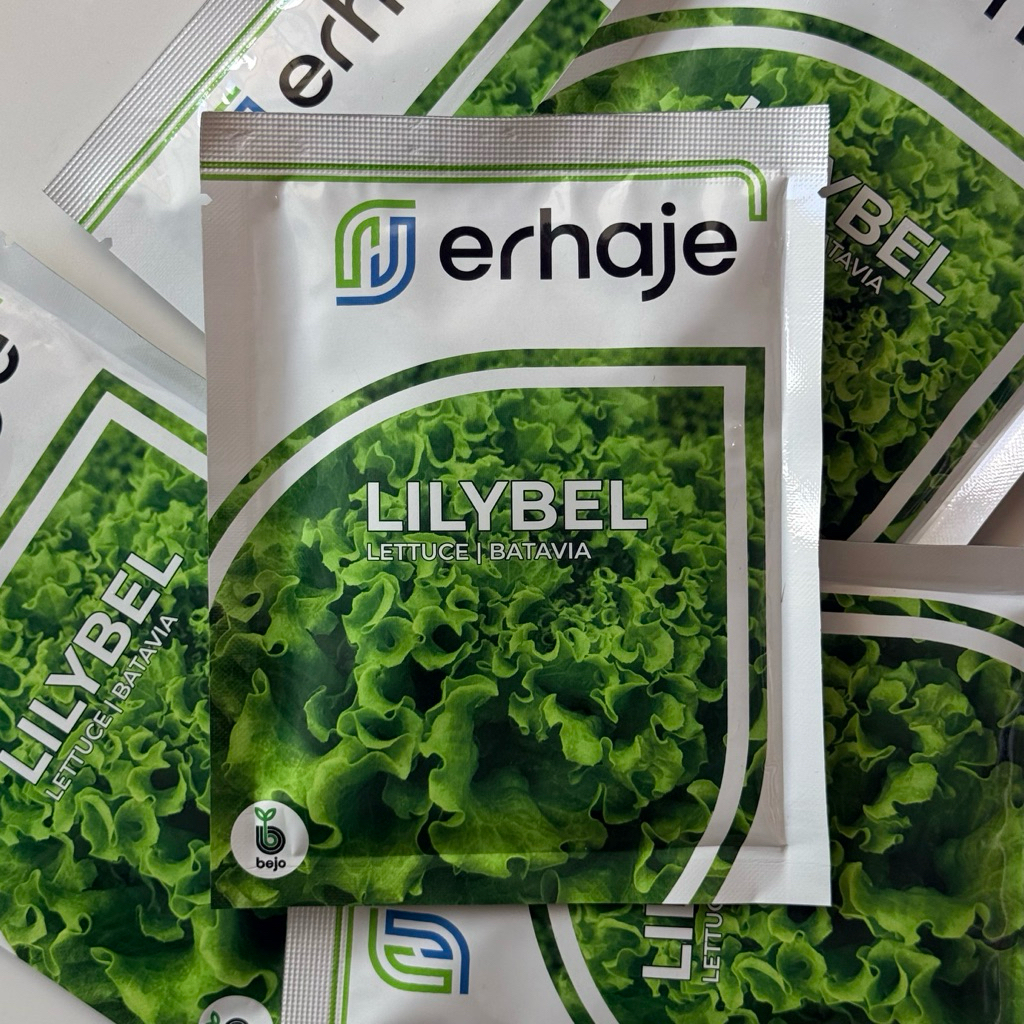 Benih Bibit Selada Lilybel Bejo seed kemasan 1000 Pills