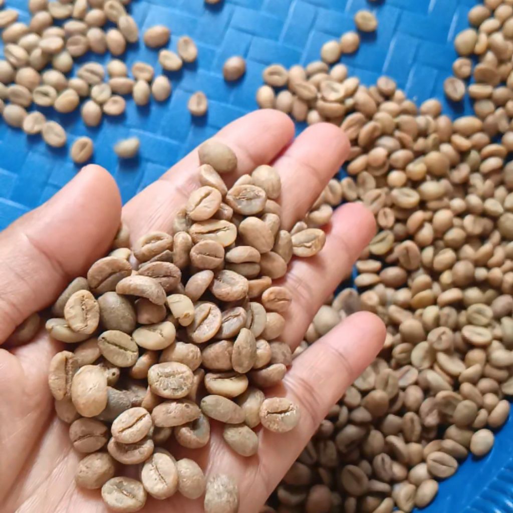 Biji Kopi Robusta Lampung Asli 1kg Sortir Manual