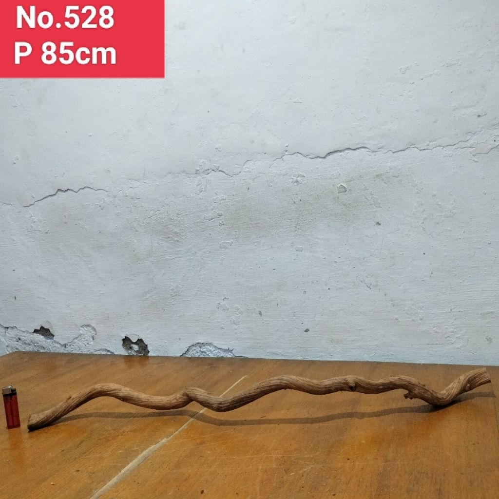 akar santigi laut akar detailing aquascape aquarium 528