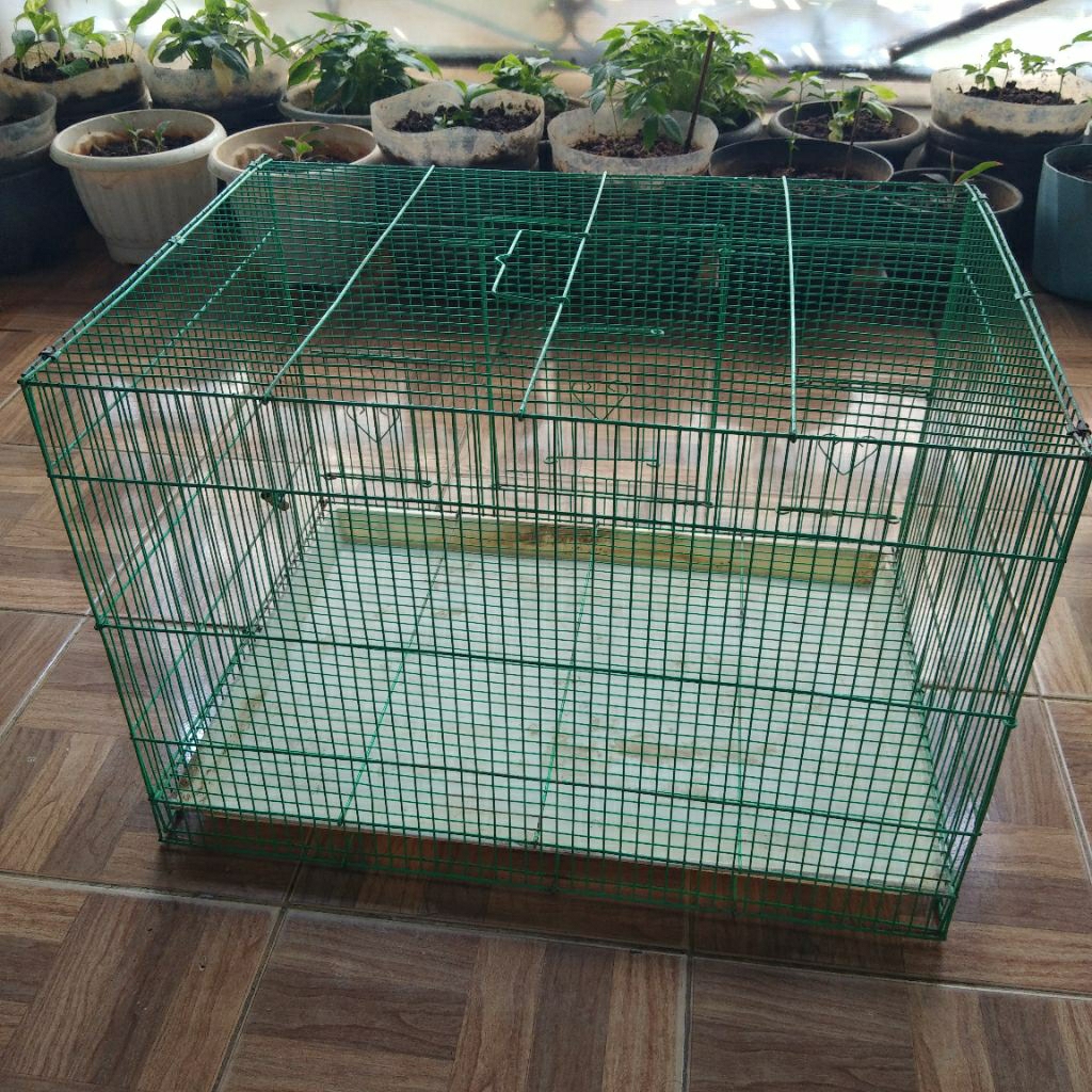 Kandang Besi Lipat Kandang  Burung Umbaran Lovebird