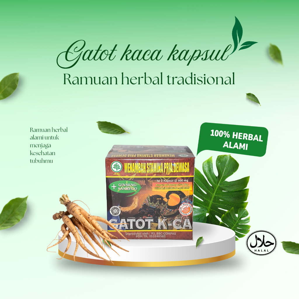 Kapsul Herbal Tradisional Gatot Kaca – Suplemen Herbal Harian
